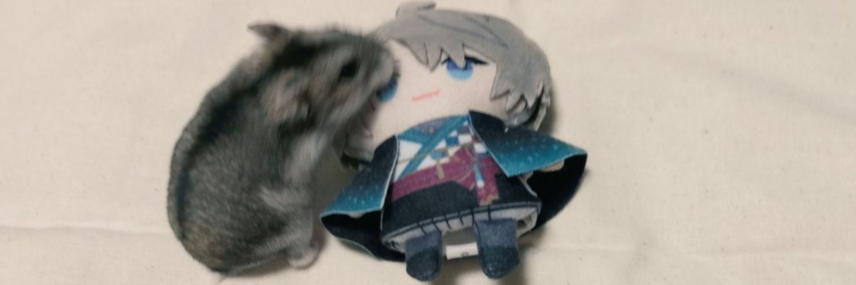 たかのじゅん☆