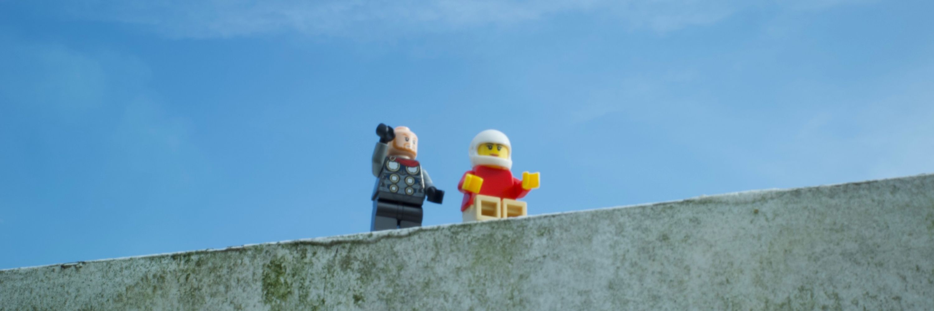Anarchkins