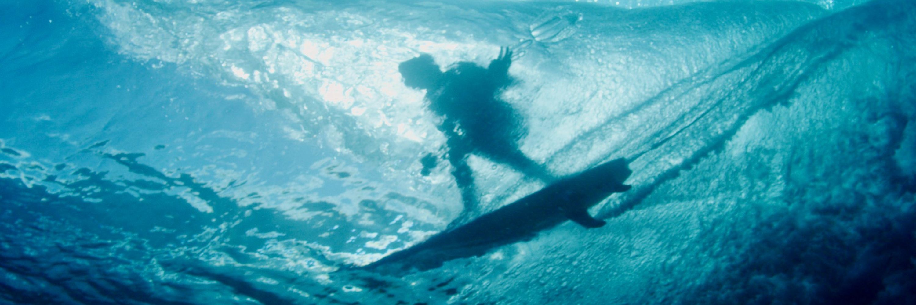 Surfrider Foundation
