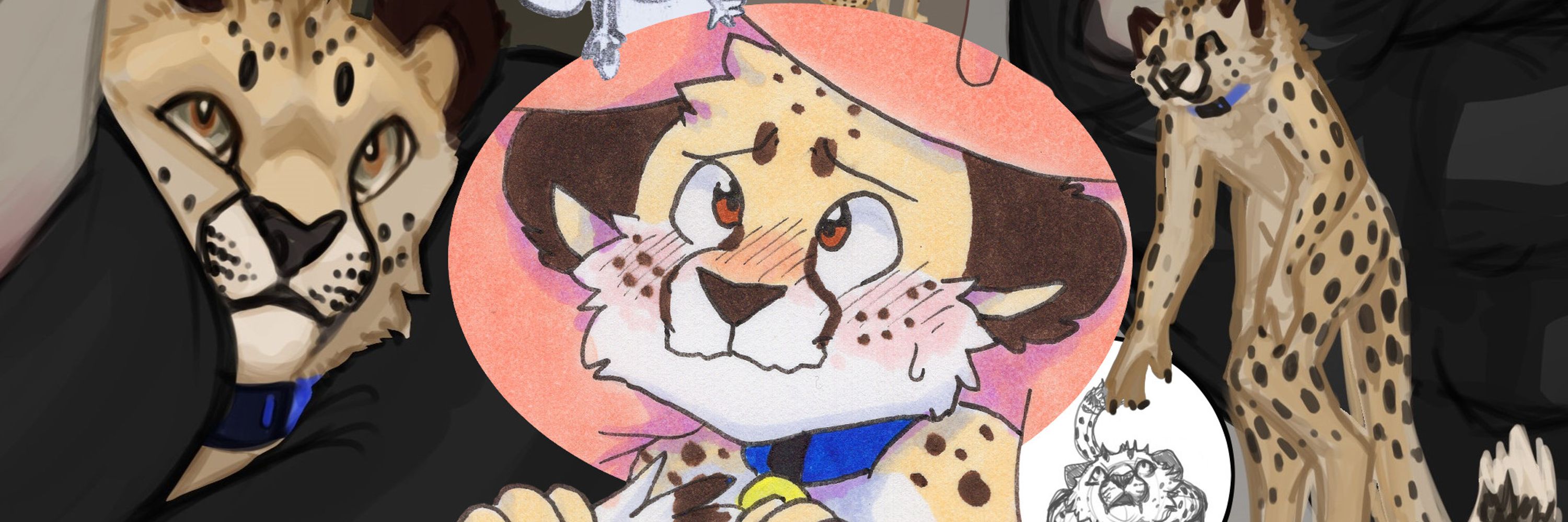 CatChow