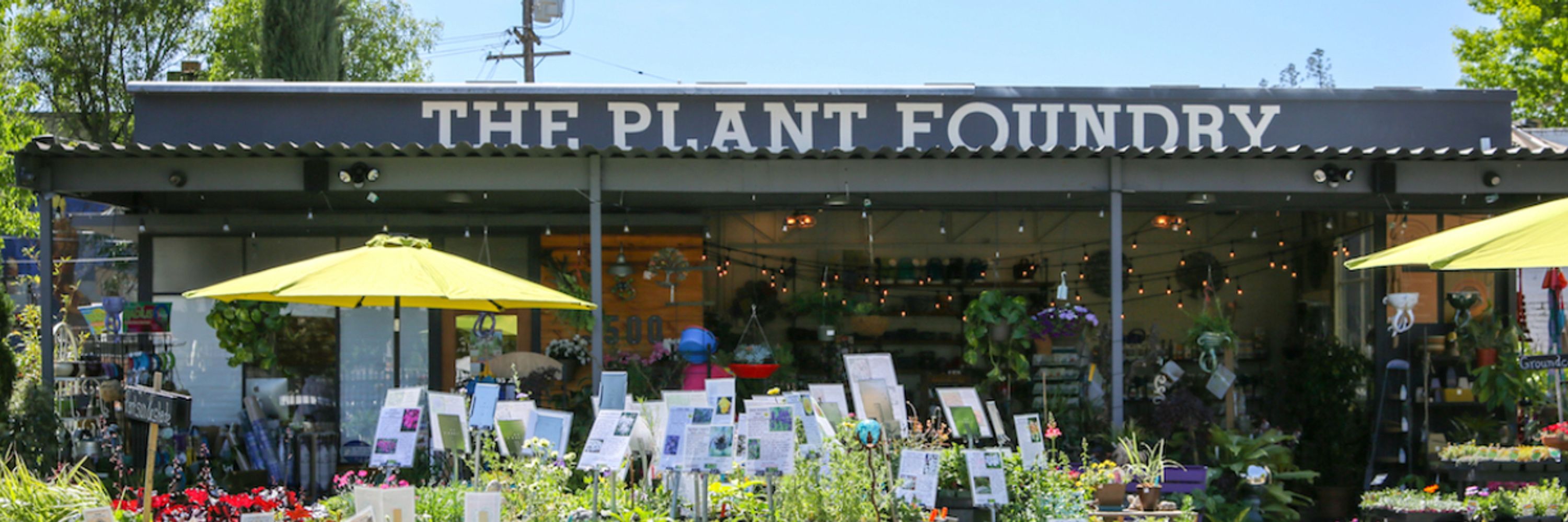 The Plant Foundry