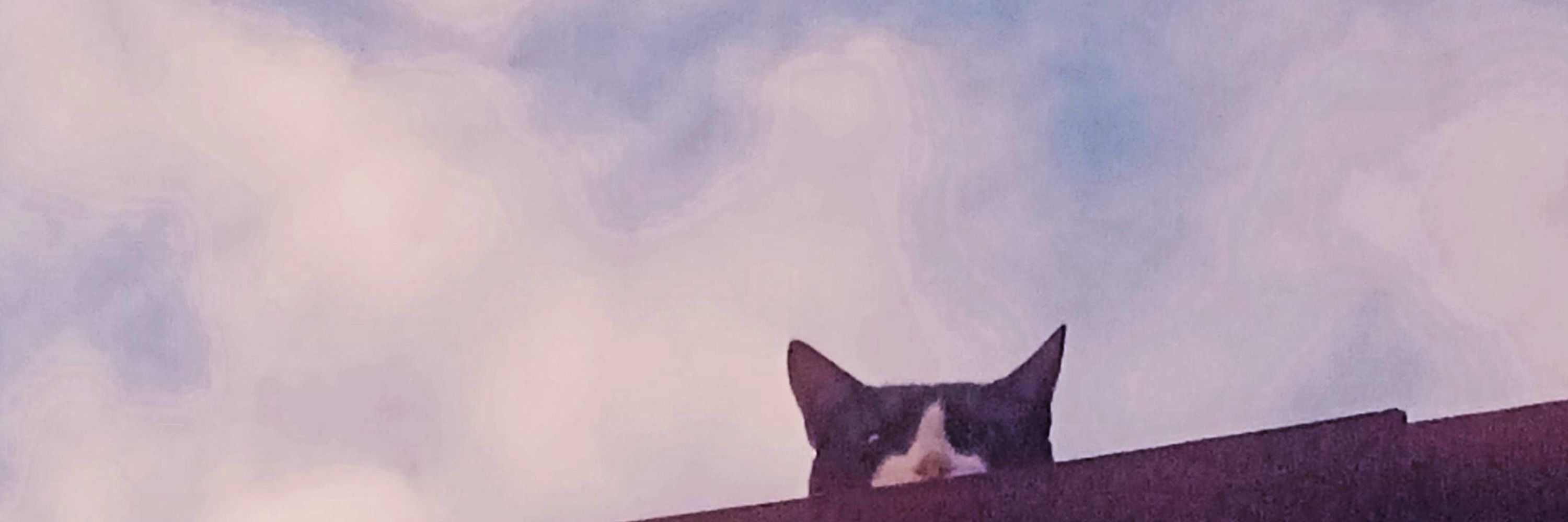 Felipe 