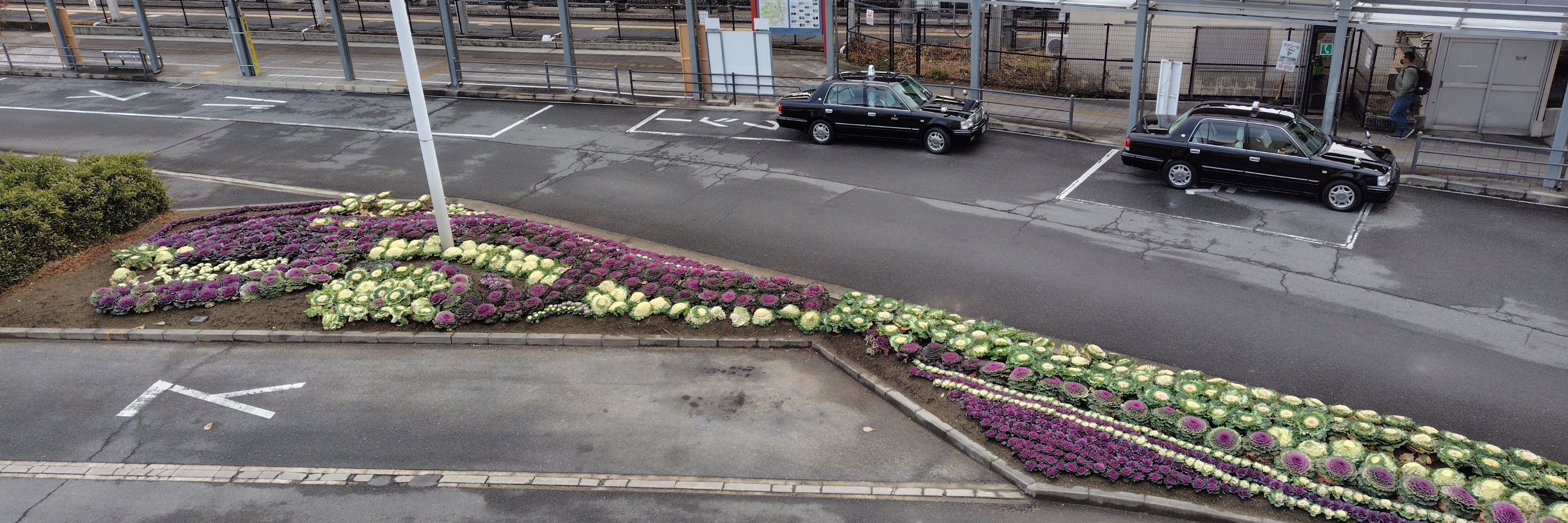 さがら