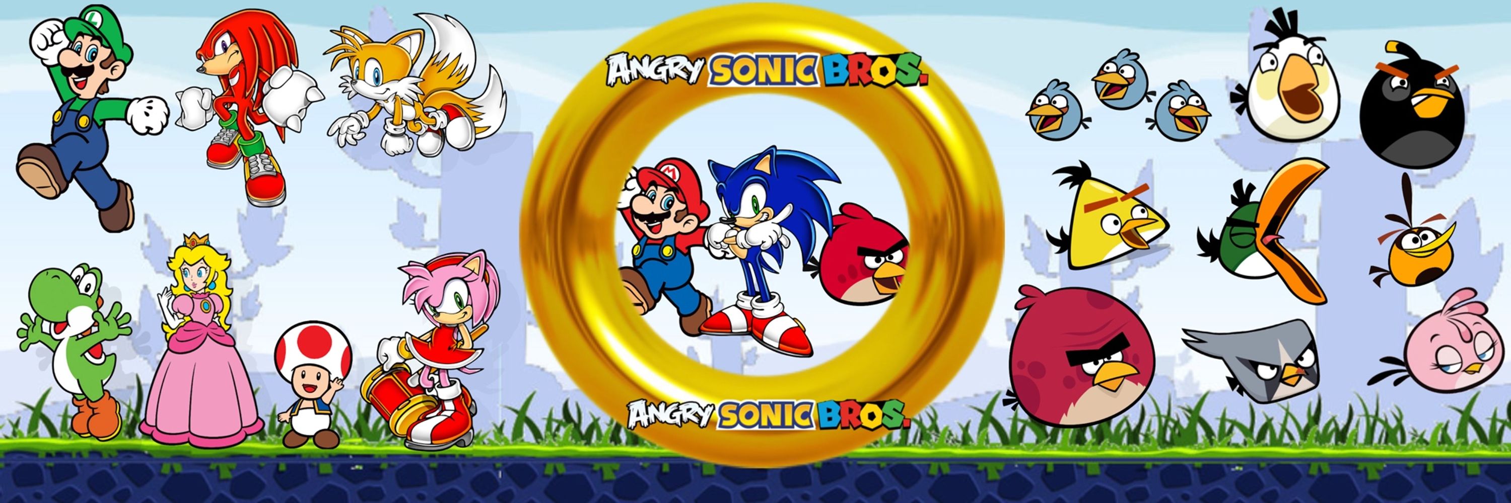 AngrySonicBros