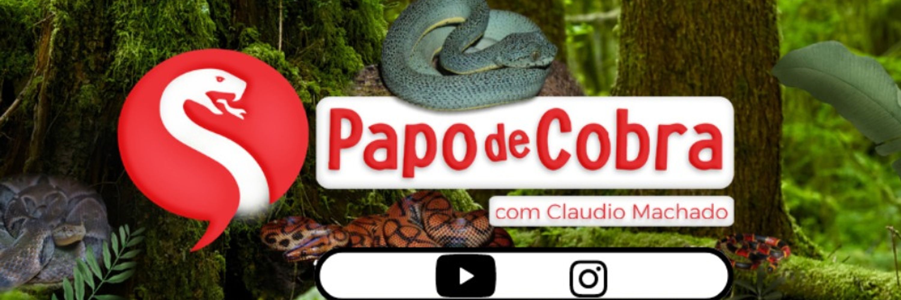 Papo de Cobra 🐍