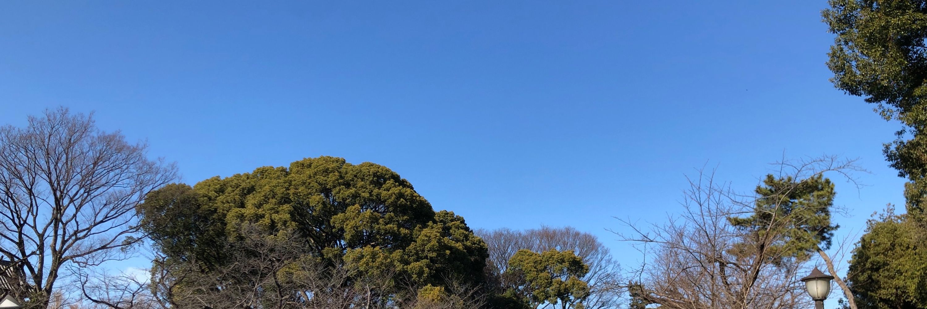 どうのつるぎ