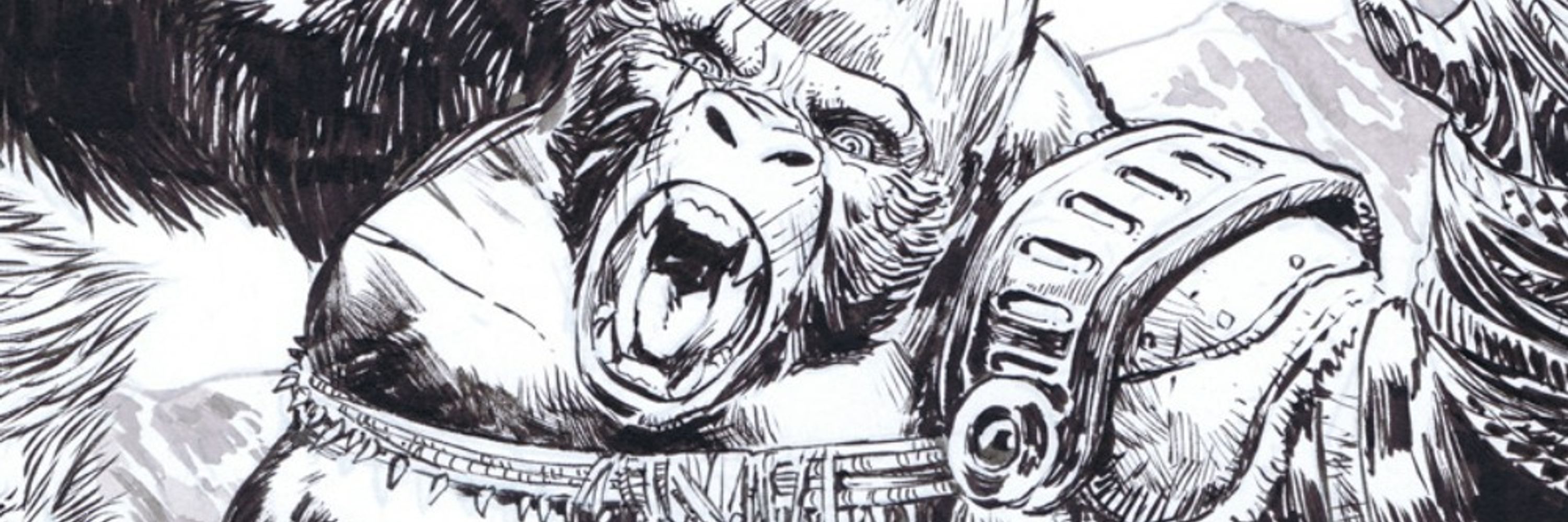 Dave Wachter
