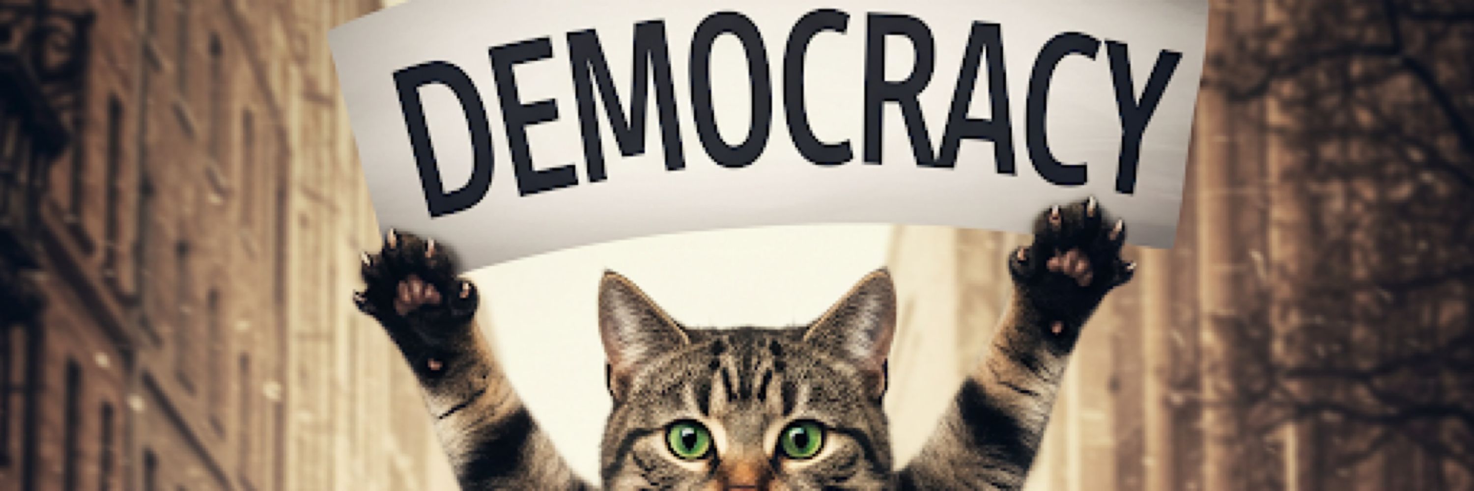 DemoCat Resister 😼