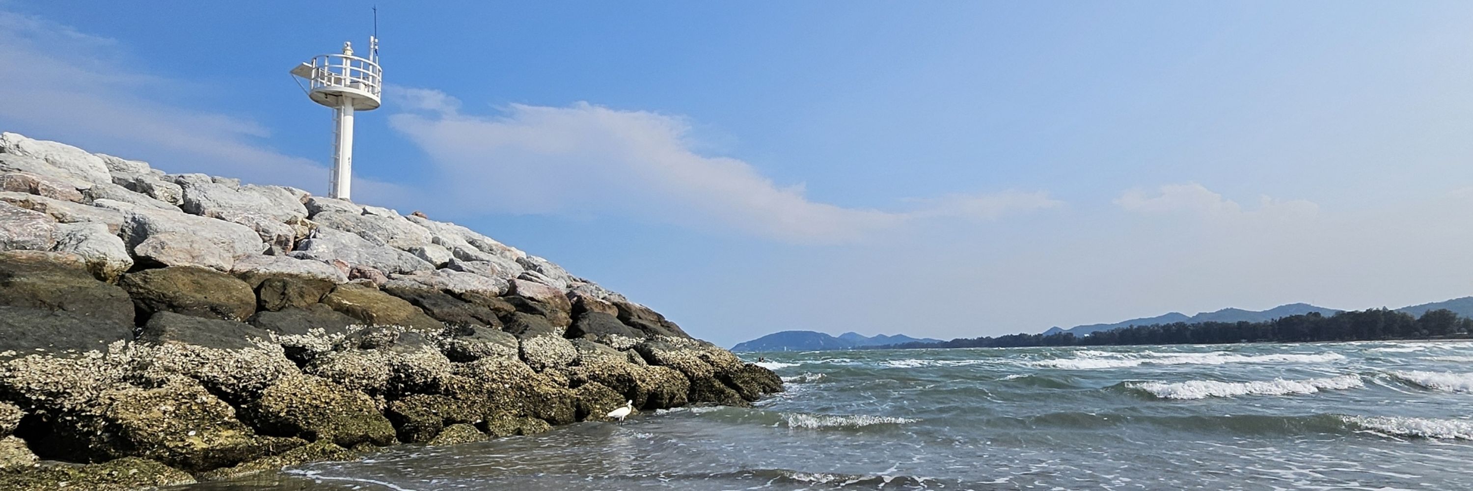 欣