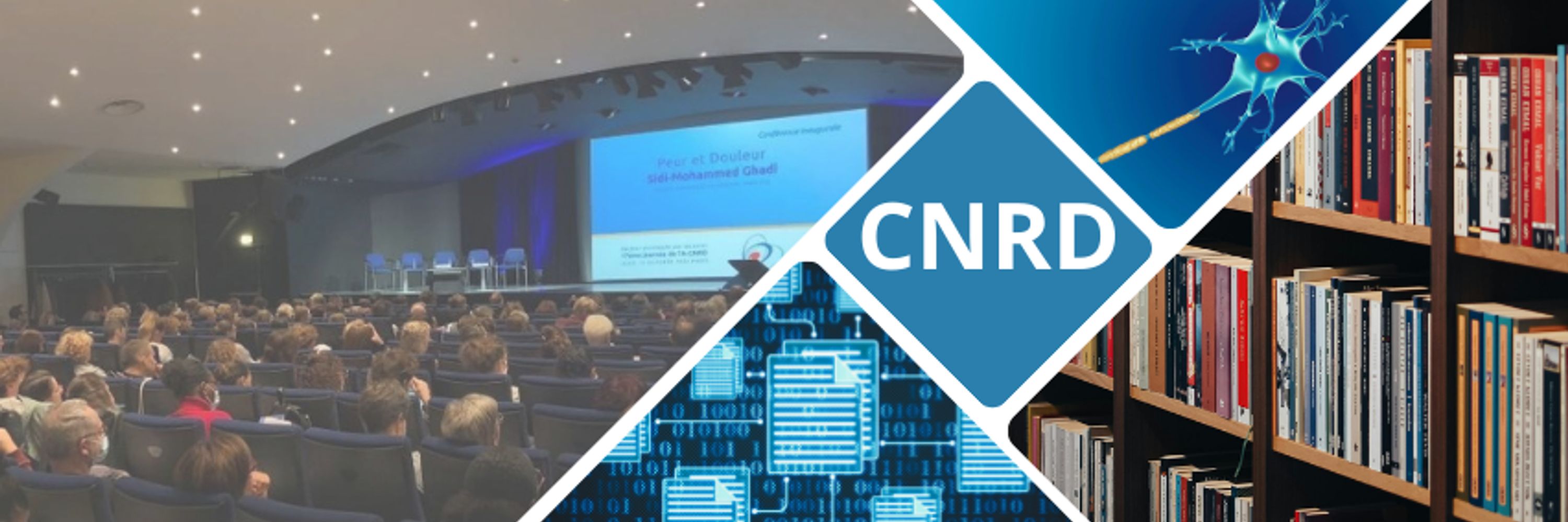 Centre National Ressource Douleur
