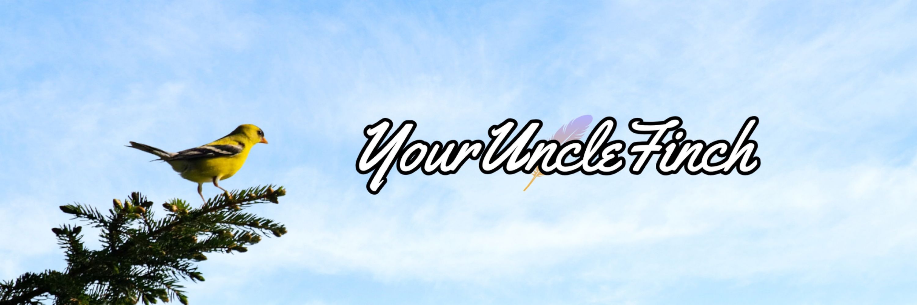 YourUncleFinch