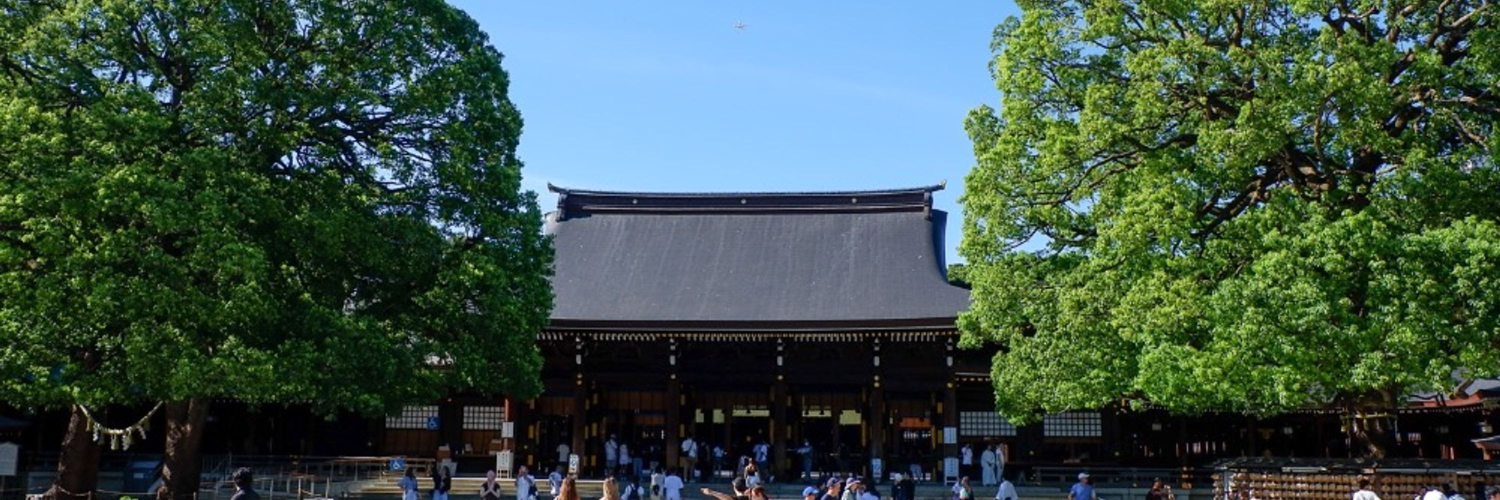 Kanpai ! 🇯🇵 Voyage au Japon 