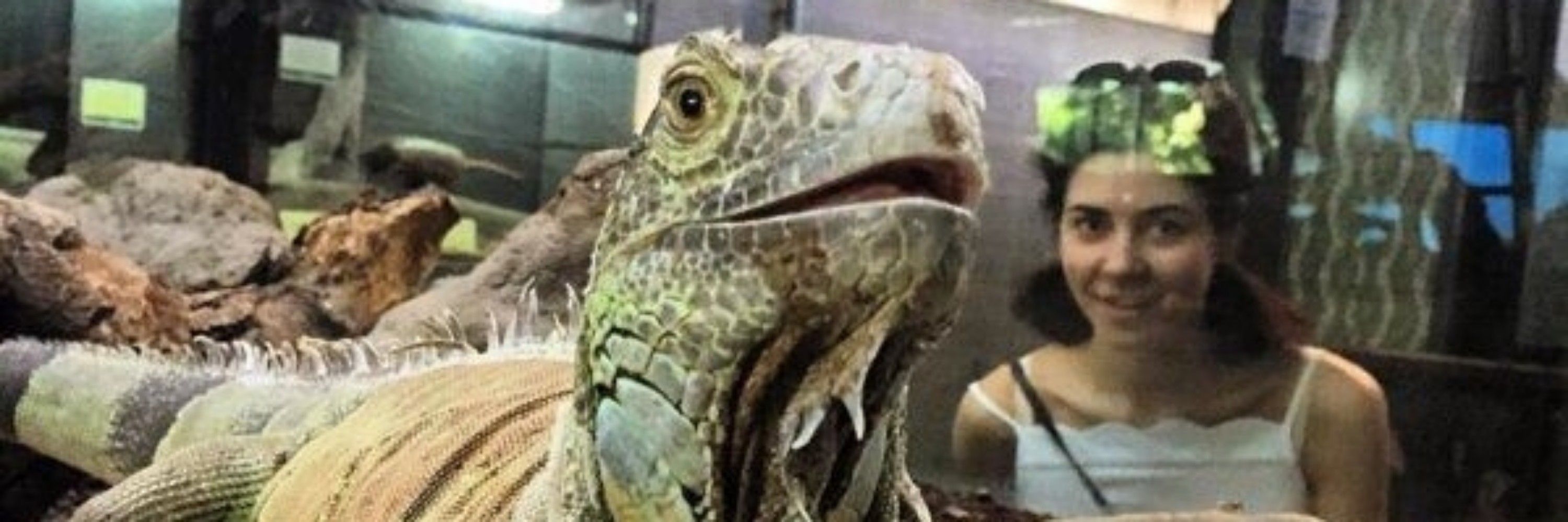 lu