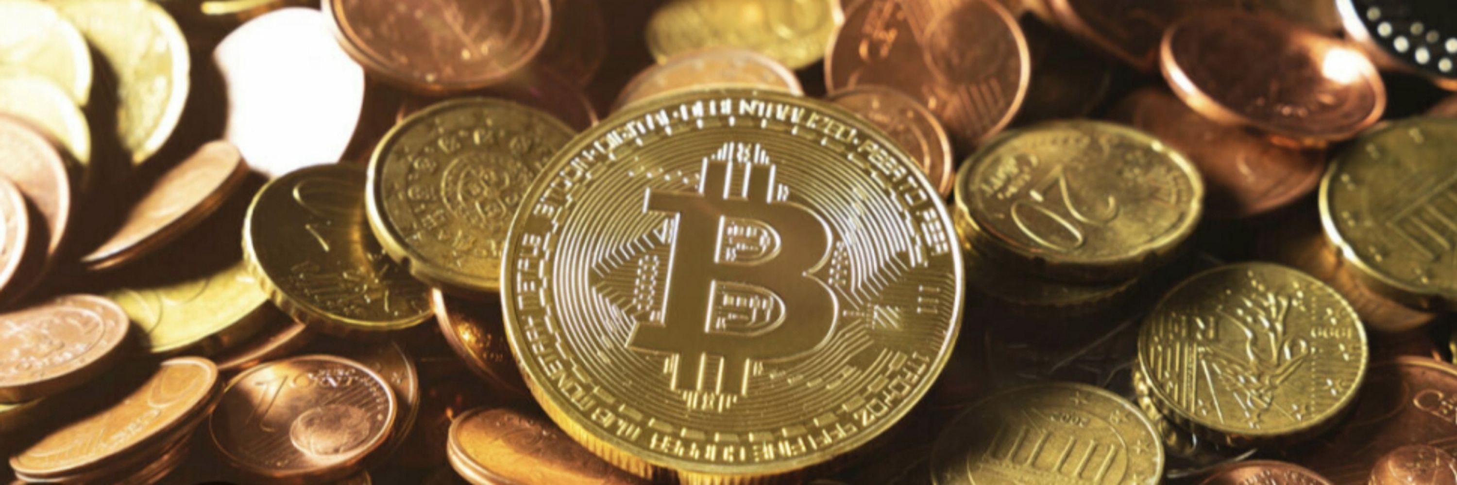 Crypto Dude