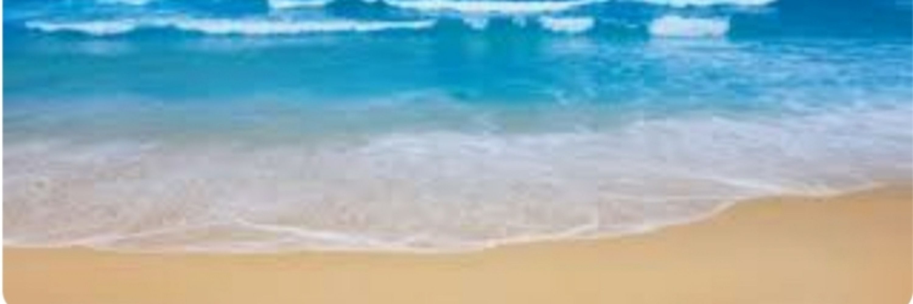 T🌊~