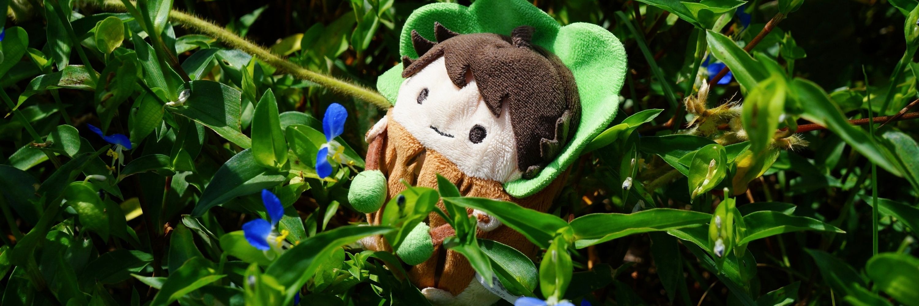 🌳