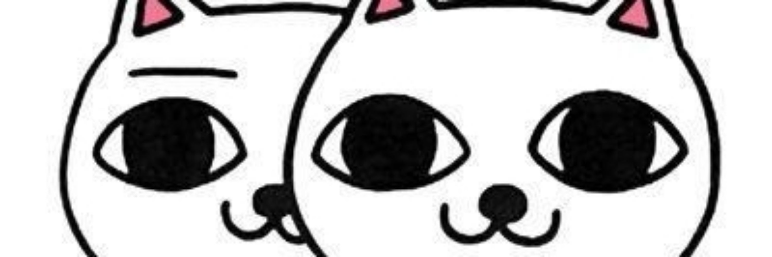 Shnookie
