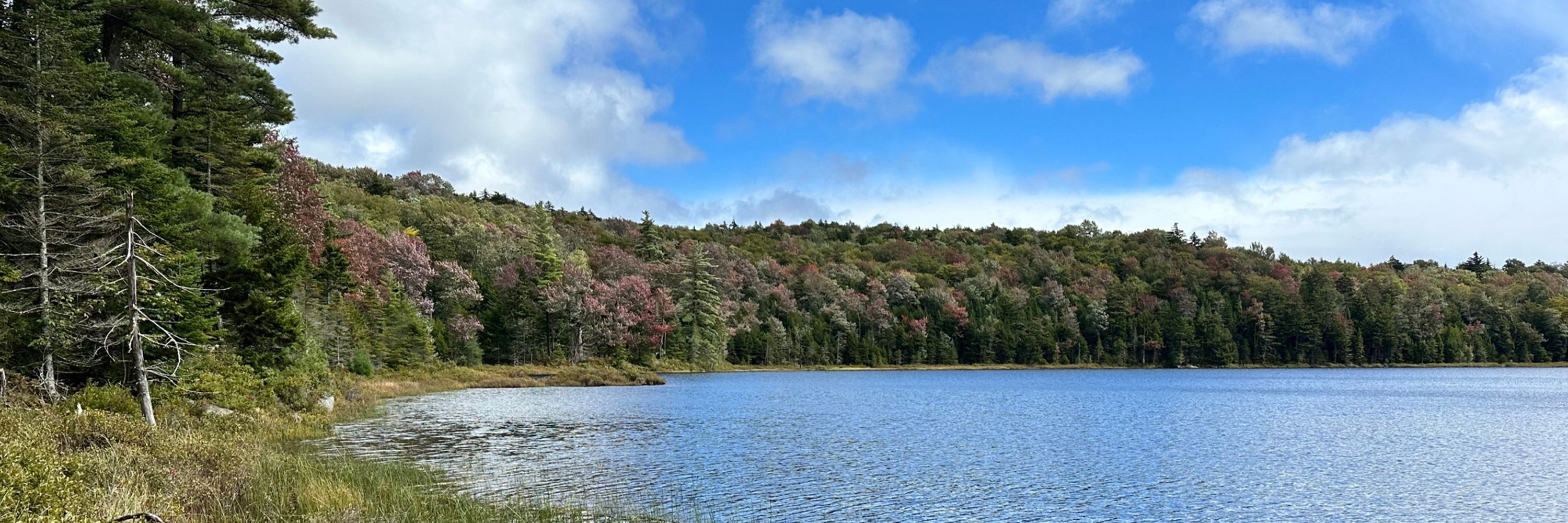 Adirondack Wilderness Advocates