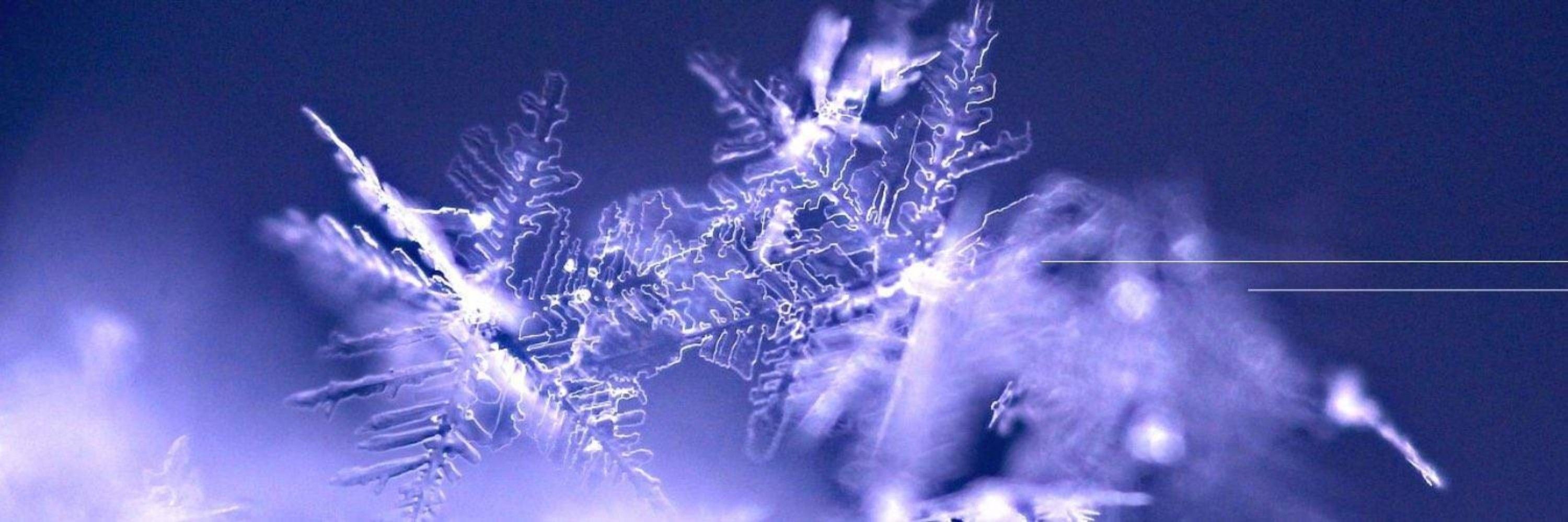 雪音
