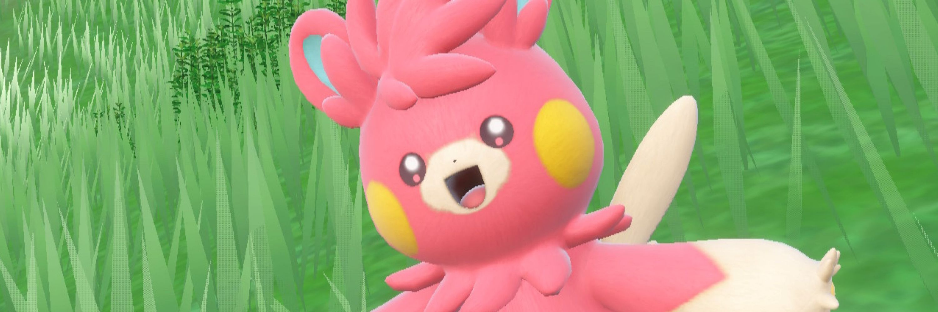 たいさま