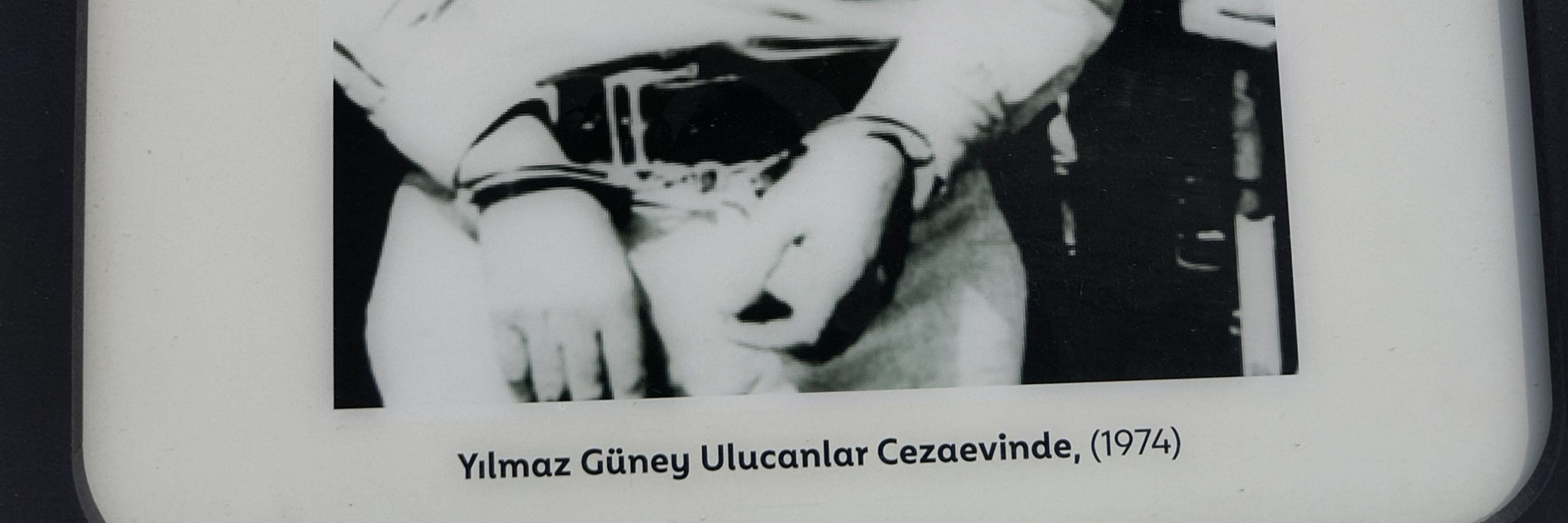 Seren pütün