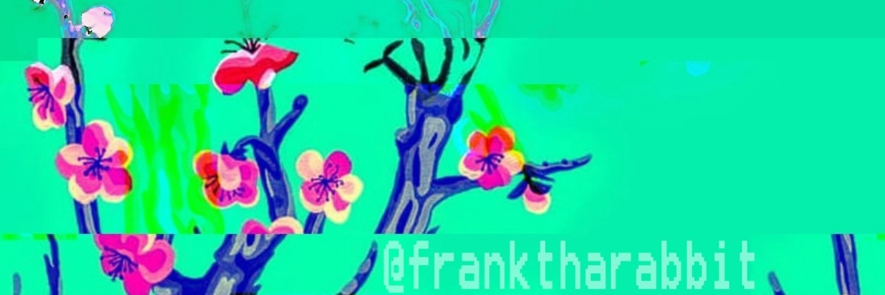 Frank tha Rabbit