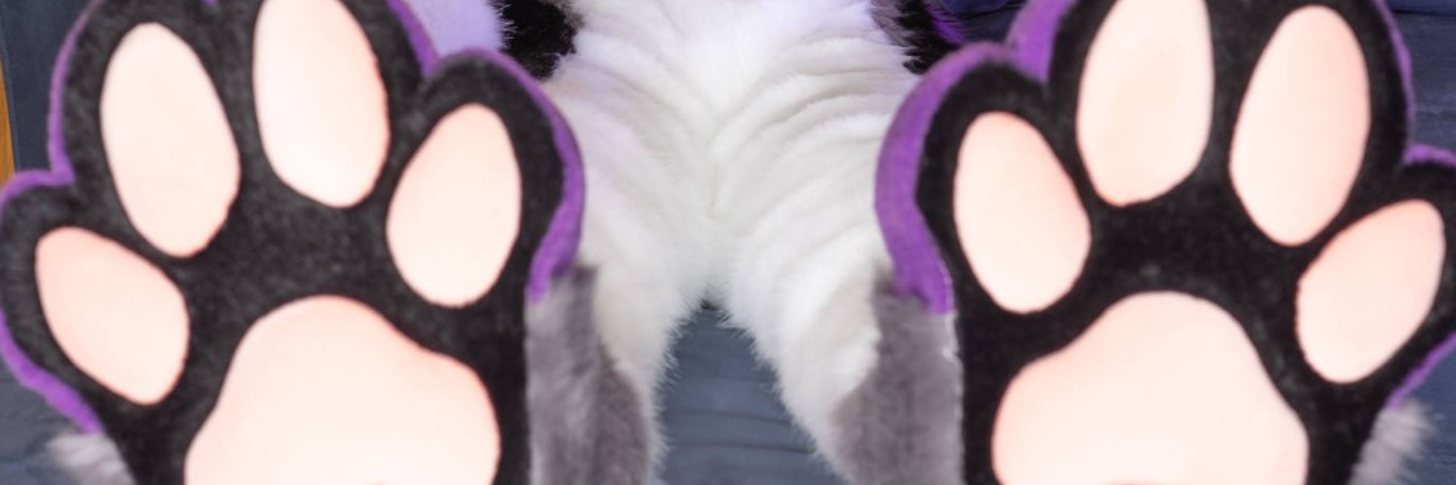 Kaishi Fox ✈️ MFF