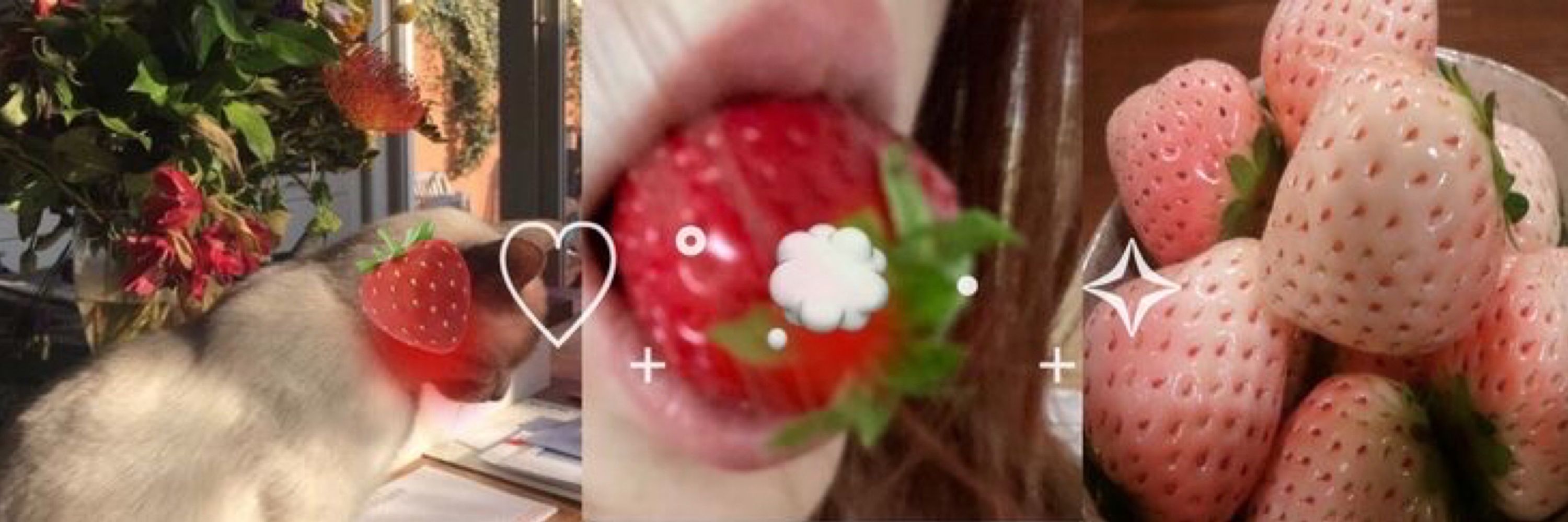 🍓Haru 