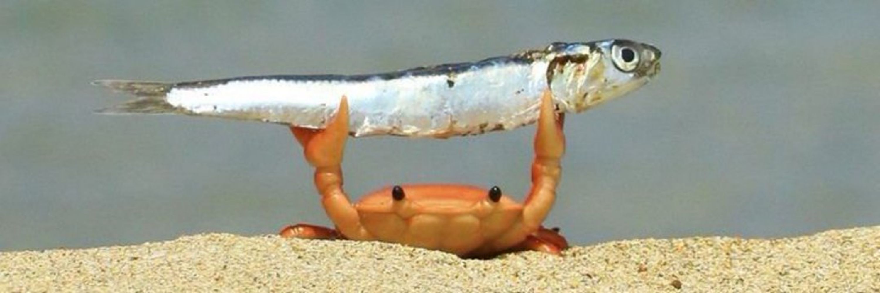 륾달