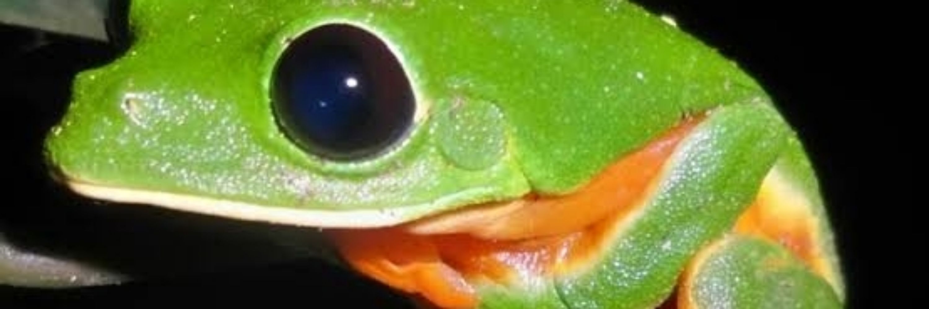 PuroSol
