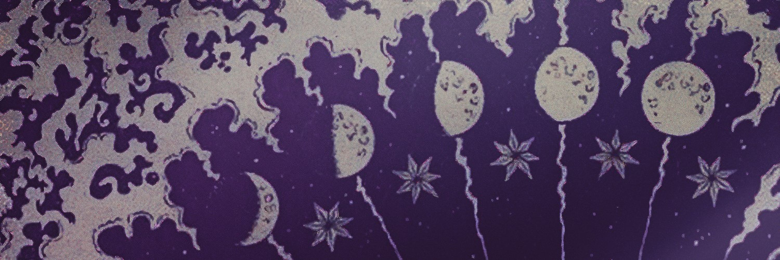 winter lovelace