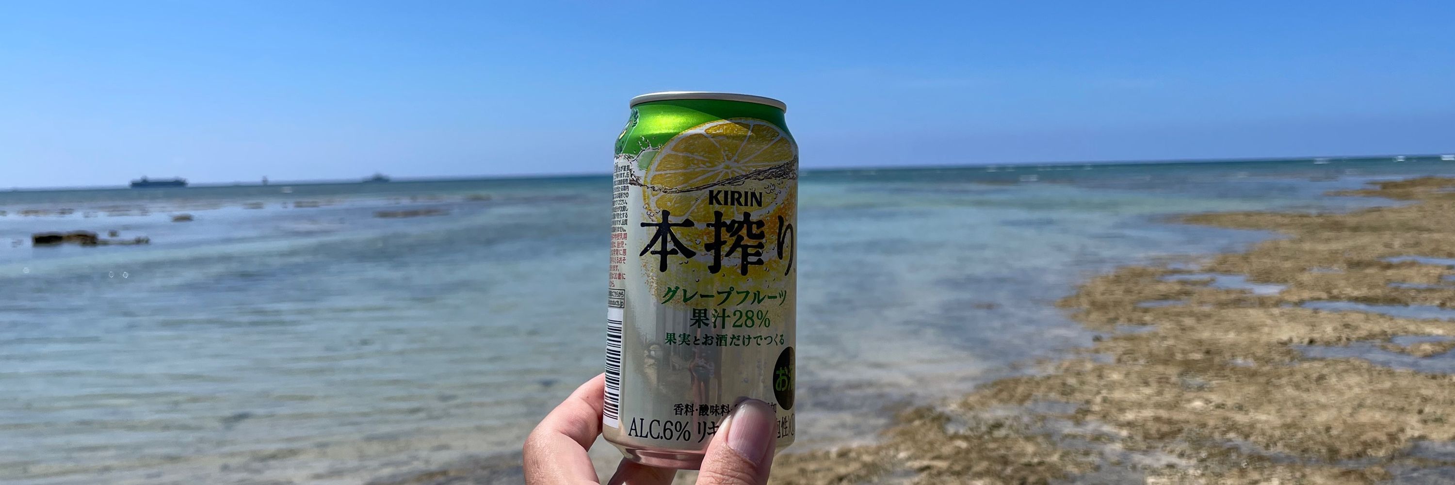 築和田わん