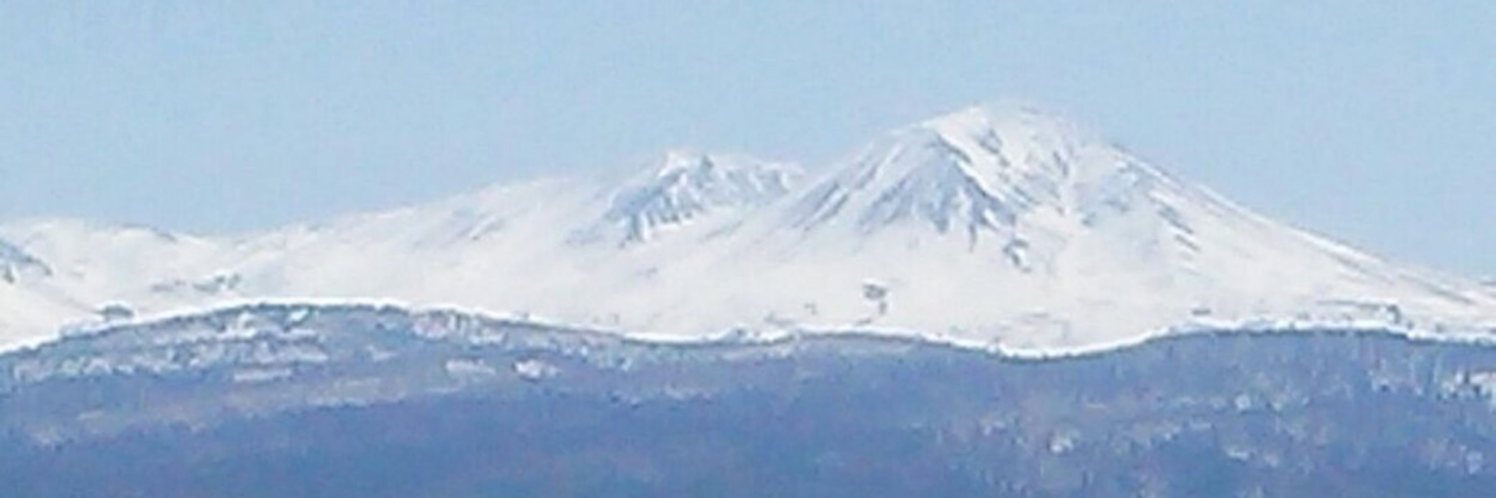 □地さん