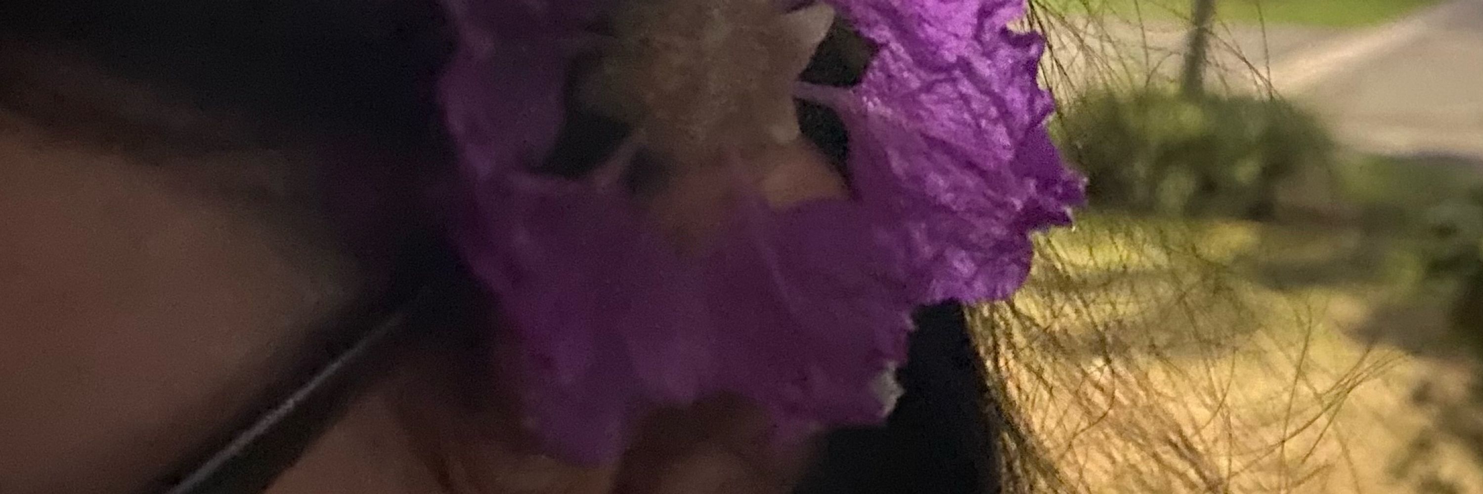Raii