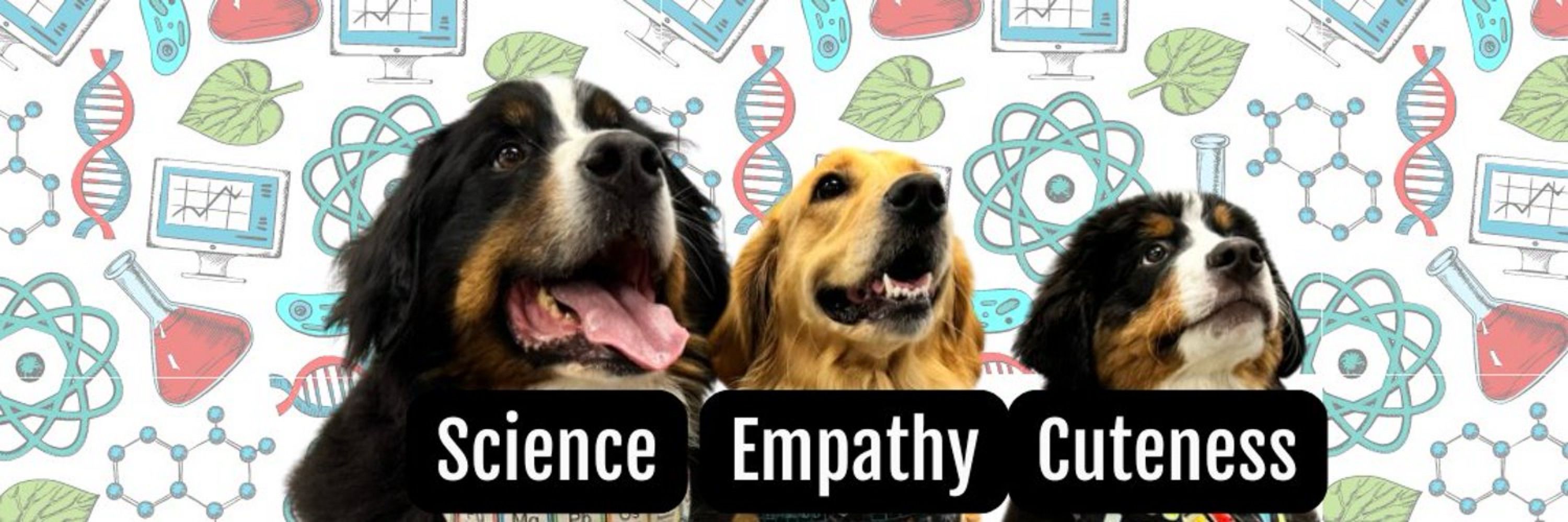 Bunsen, Beaker & Bernoulli