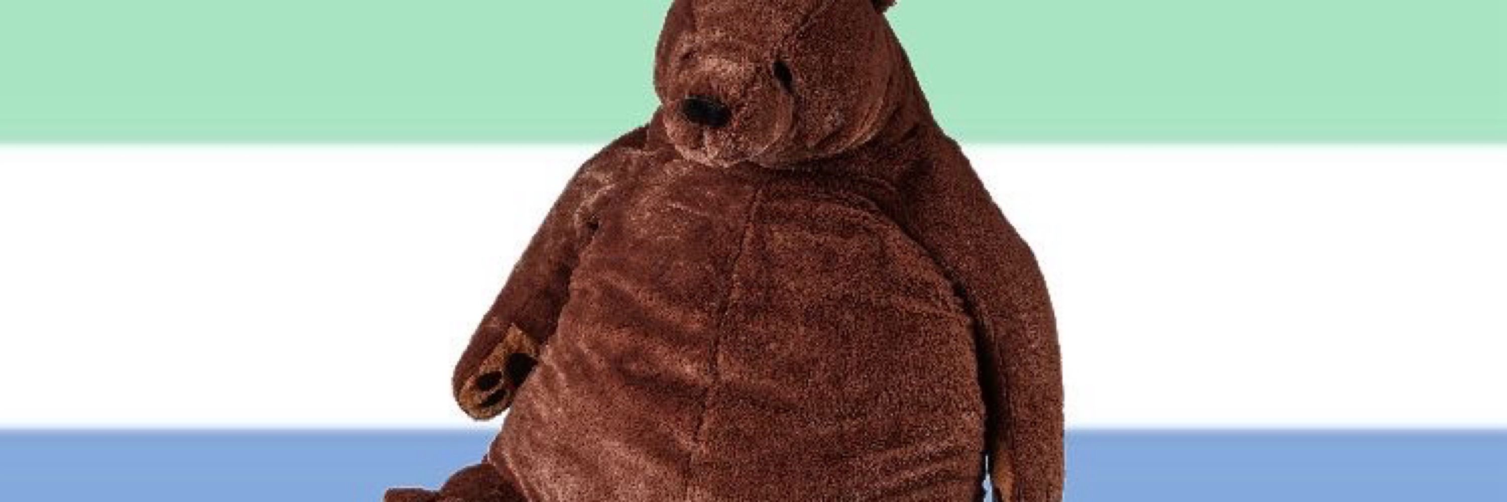 🍓🐻