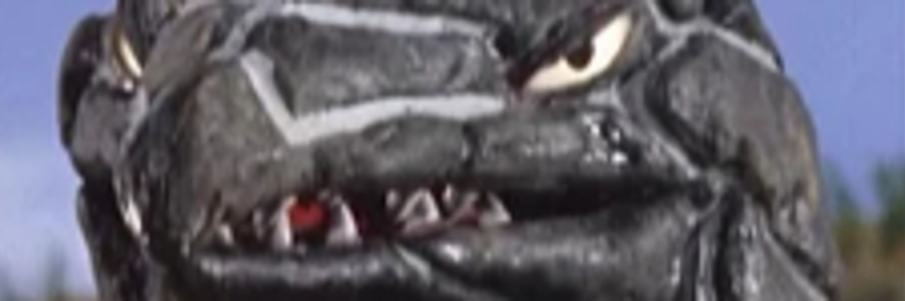 TsuifonKaijuFan