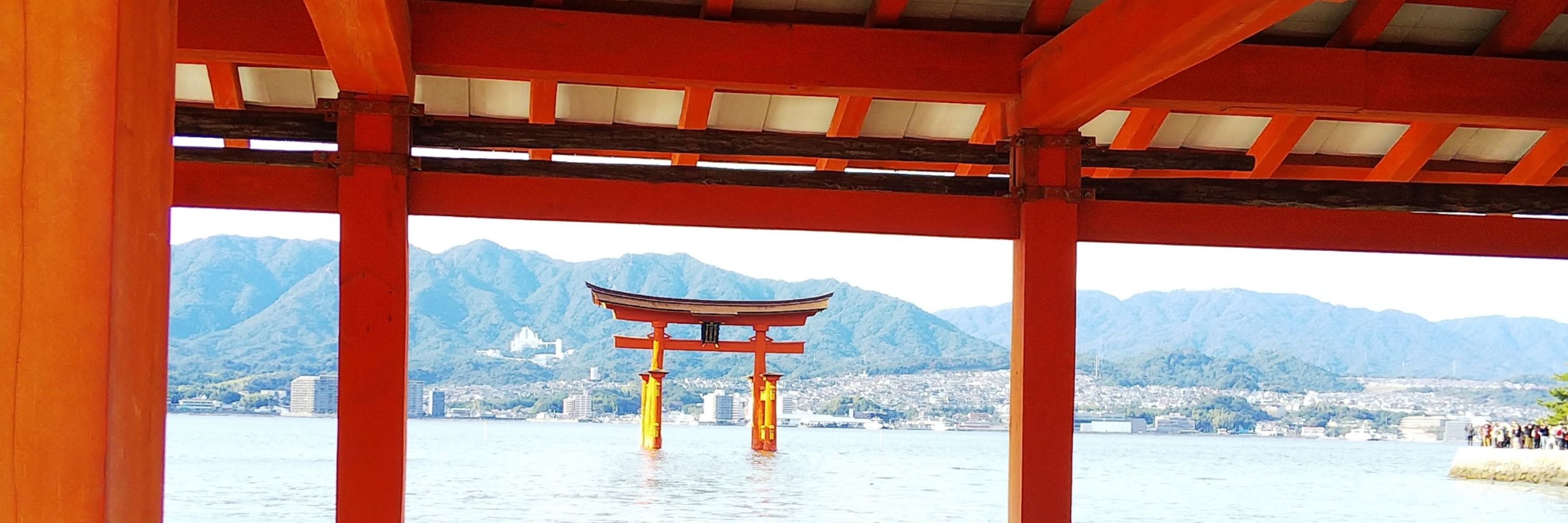 タマヲ