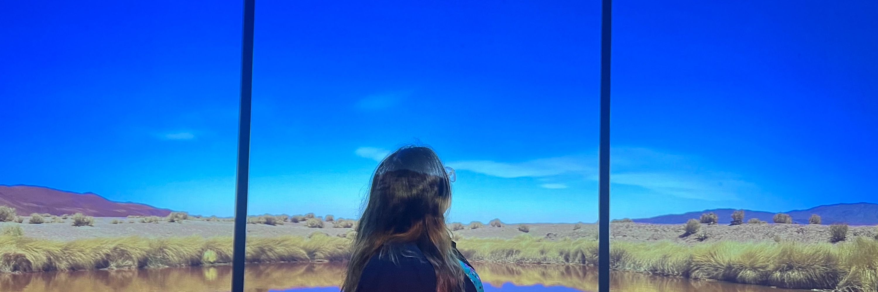 Tam 🍉