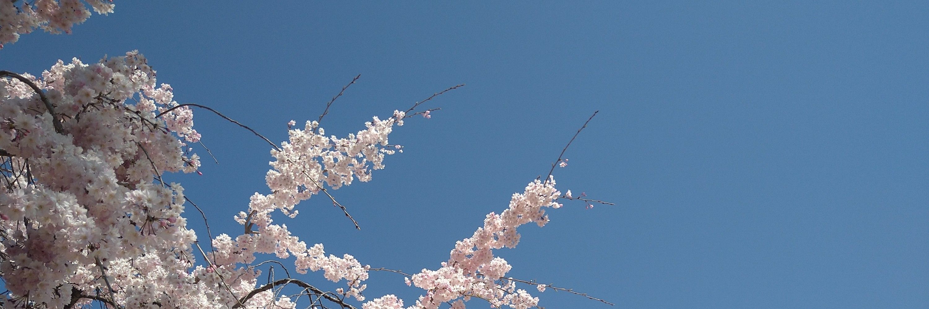 美澄　そら