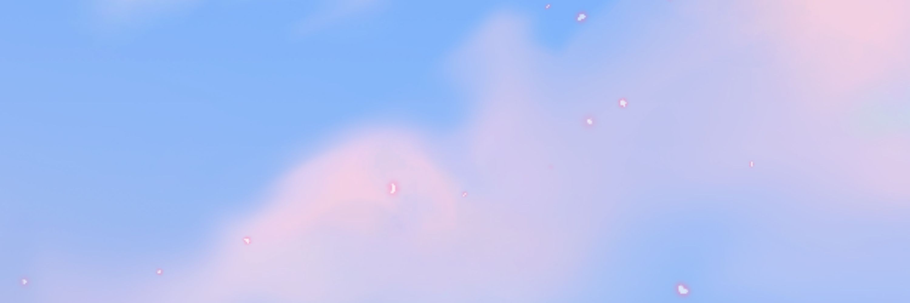 유 留