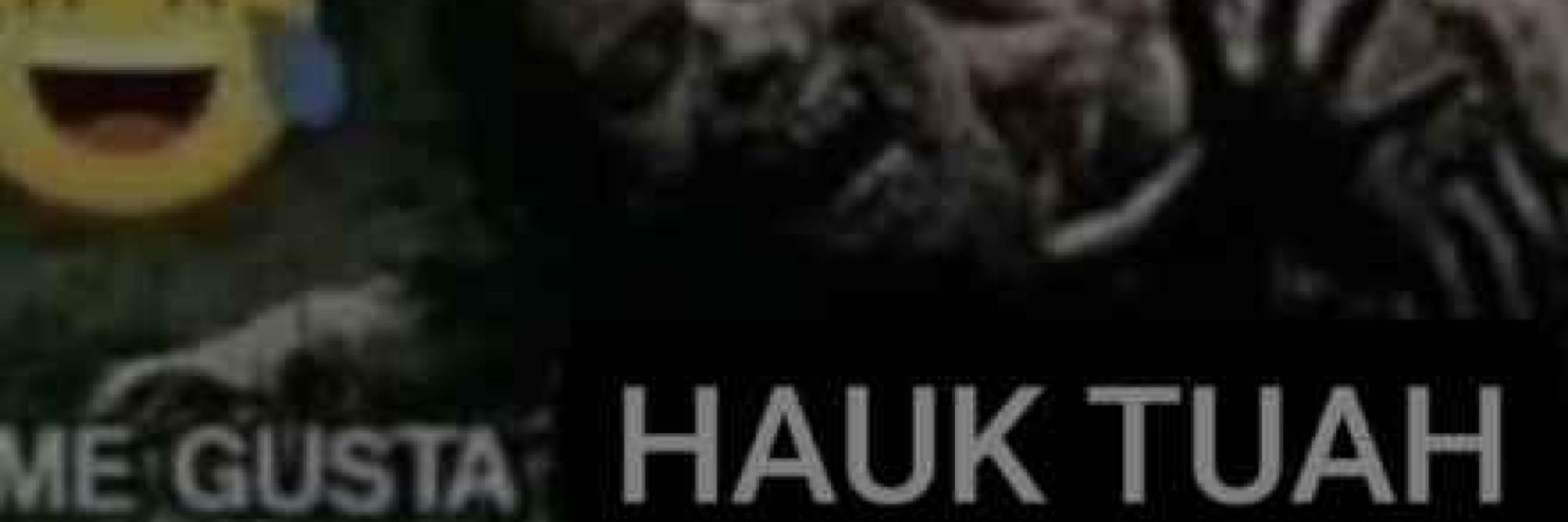 hayle