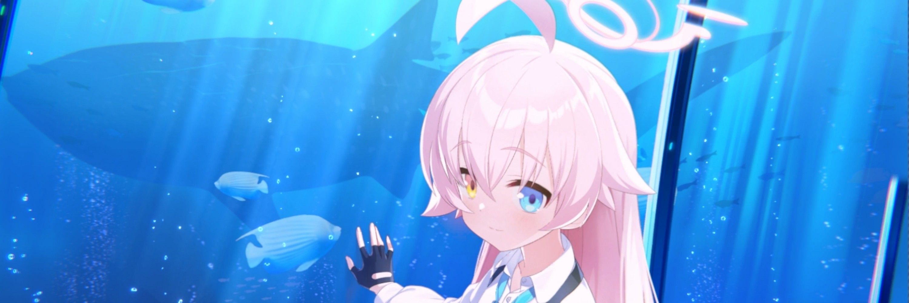たおやか