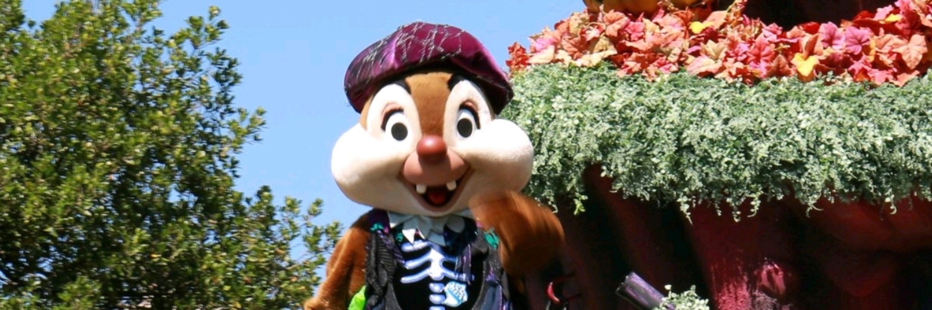 みーさん
