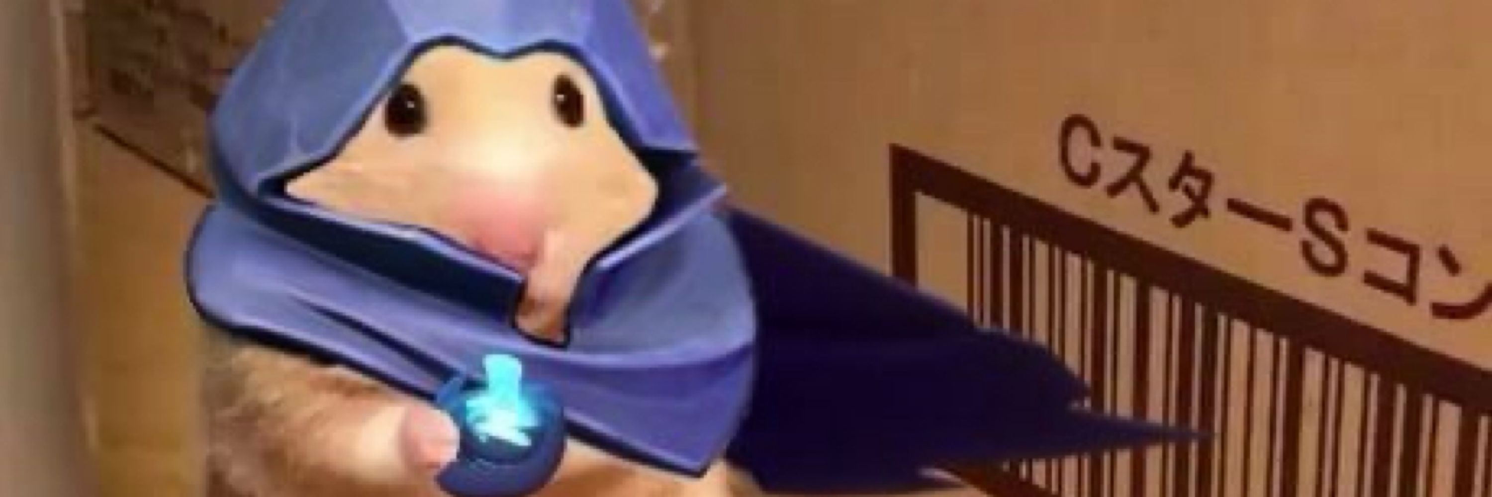 Koma