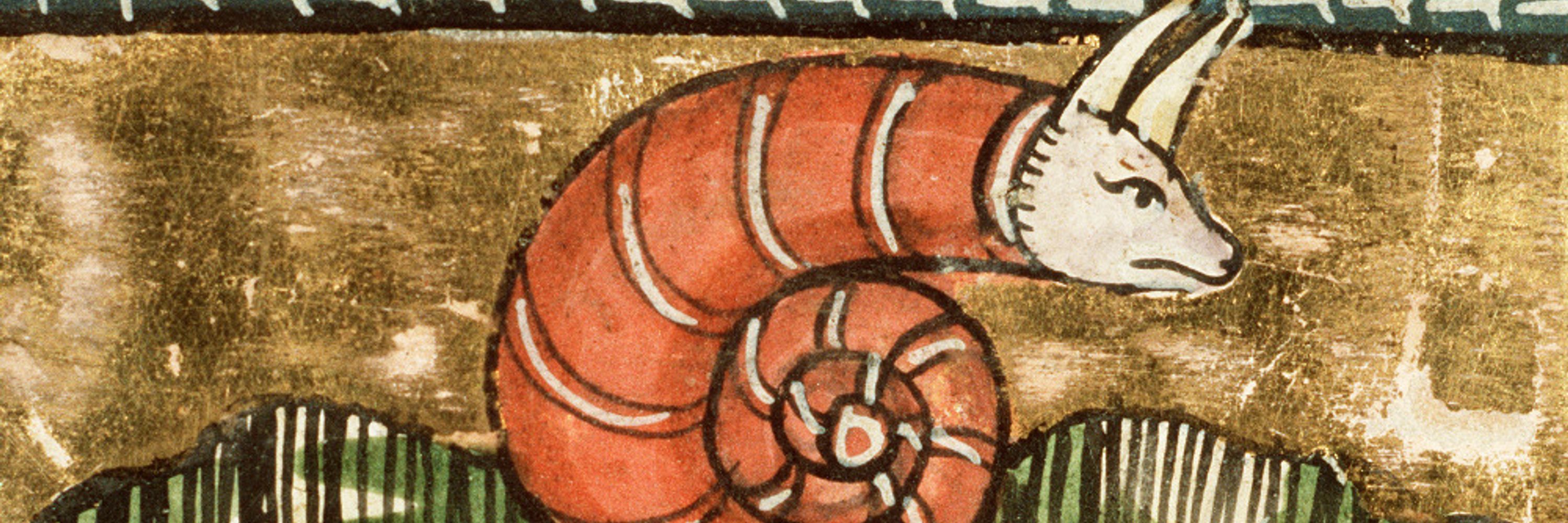 Paper Snail
