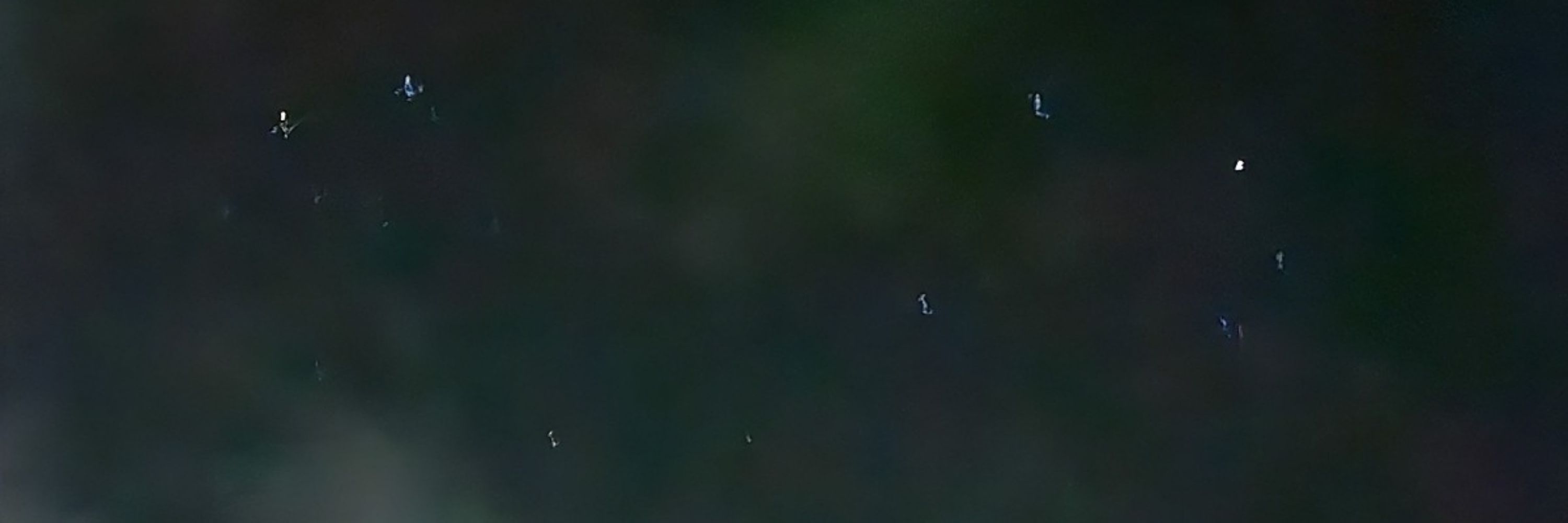 넴(Nem)