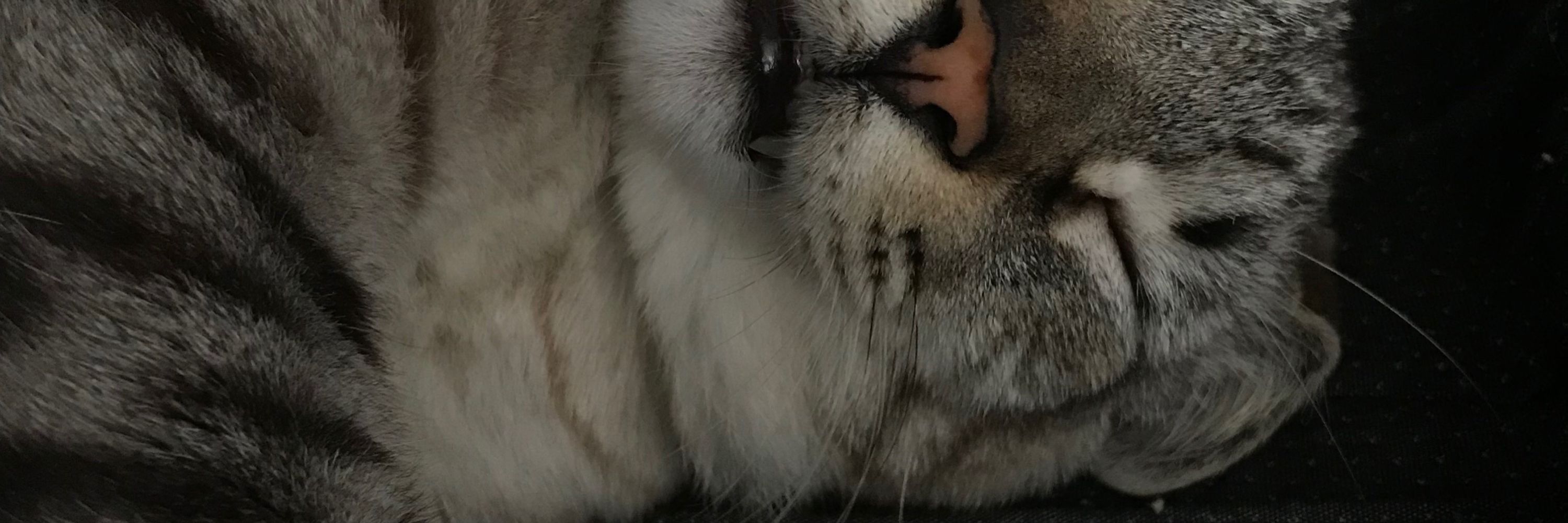 7️⃣