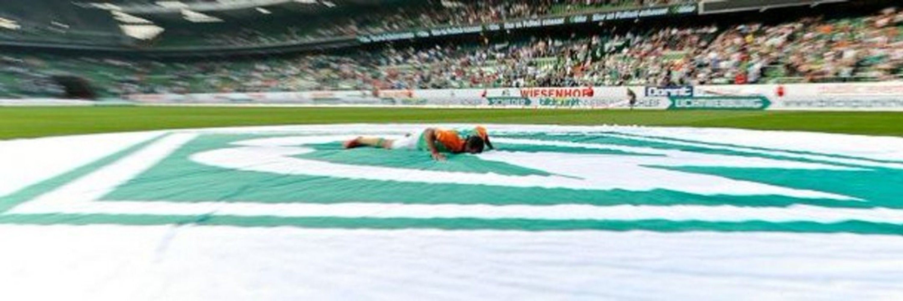 Hansi Flickenfraud