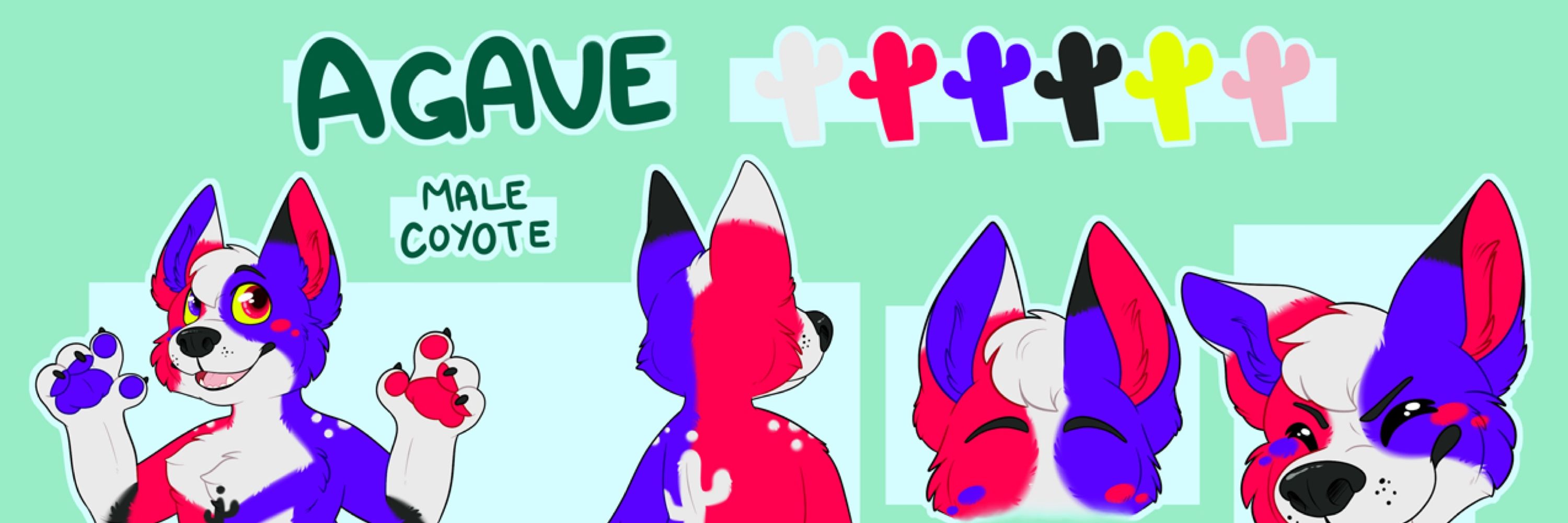 Agave_Coyote